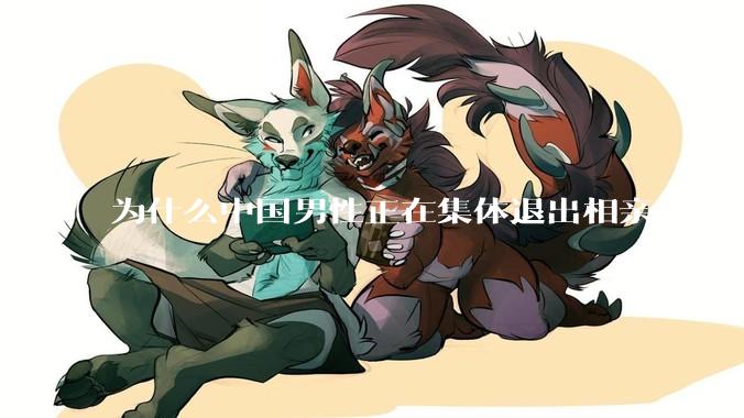 为什么中国男性正在集体退出相亲市场？