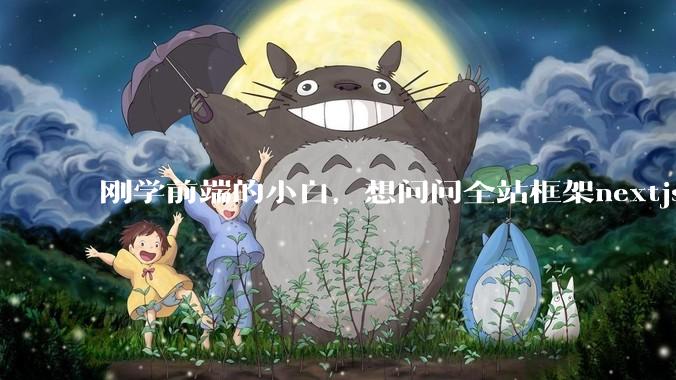 刚学前端的小白，想问问全站框架nextjs+shadcn+prisma为什么在国内不火呢？