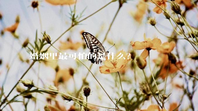 婚姻里最可怕的是什么？