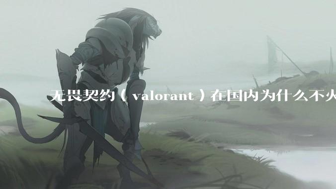 无畏契约（valorant）在国内为什么不火?