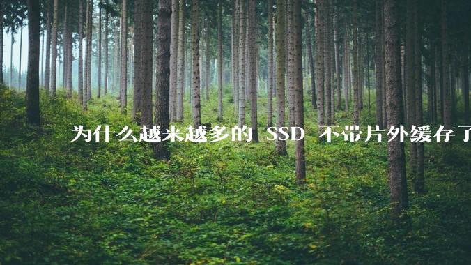 为什么越来越多的 SSD 不带片外缓存了？