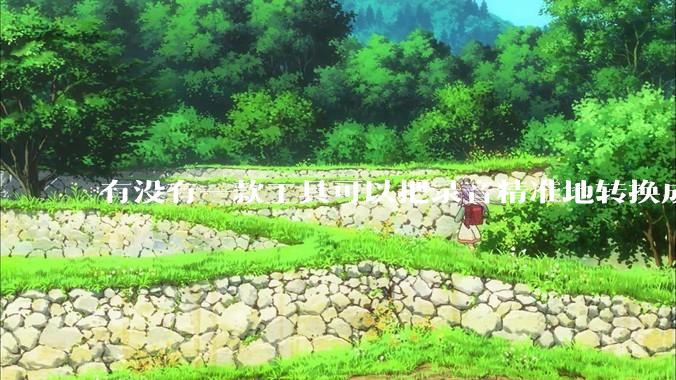 有没有一款工具可以把录音精准地转换成文字？